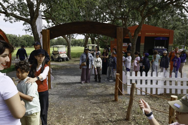 OPEN PLAYGROUND (14)