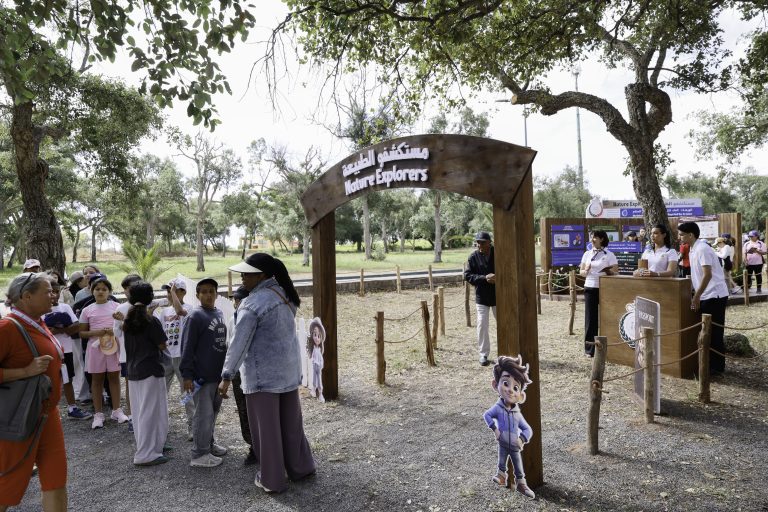 OPEN PLAYGROUND (15)