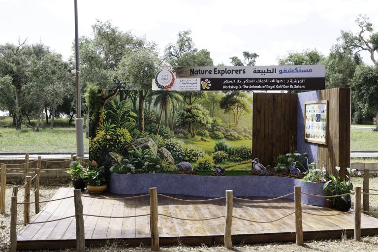 OPEN PLAYGROUND (21)