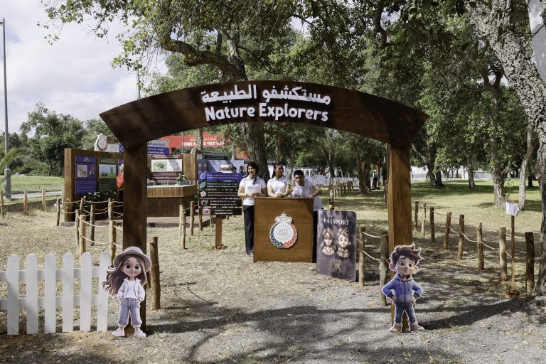 OPEN PLAYGROUND (24)