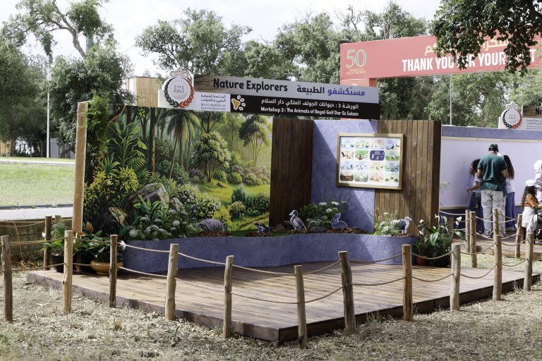 OPEN PLAYGROUND (25)
