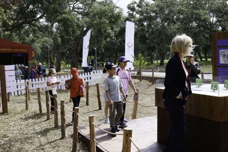 OPEN PLAYGROUND (3)