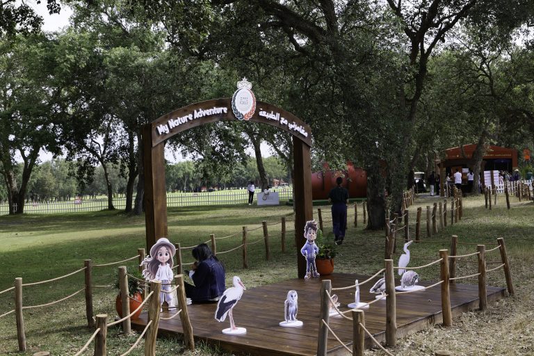 OPEN PLAYGROUND (5)