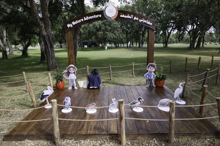 OPEN PLAYGROUND (6)