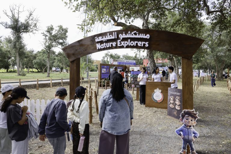 OPEN PLAYGROUND (9)