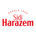 sidi-harazem